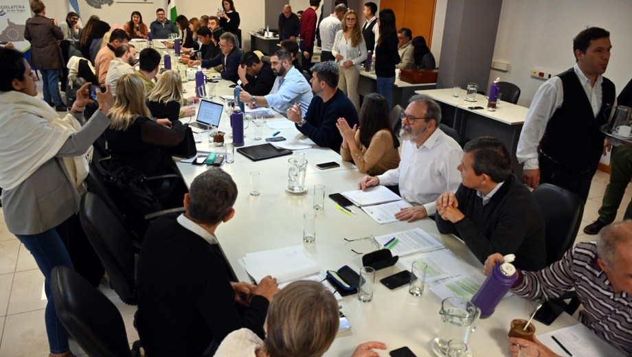La reunión plenaria fue encabezada por la legisladora Yolanda Mansilla. Foto: Marcelo Ochoa.