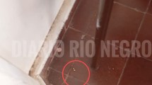 Imagen de Un adolescente fue baleado por un compañero en una escuela de Cutral Co: habría ingresado el arma en la mochila