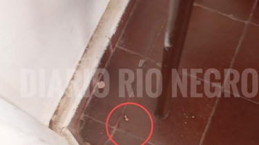 Un adolescente fue baleado por un compañero en una escuela de Cutral Co: habría ingresado el arma en la mochila