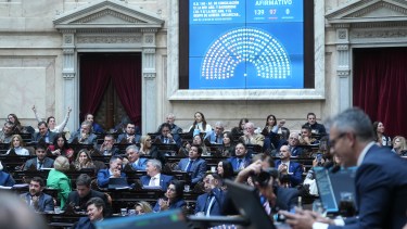 Media sanción al proyecto Super RIGI: las 10 claves para entender de que se trata