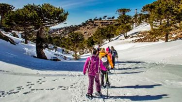 Así será «¡Vamos las pibas!»: nieve, montaña, arte y fogón en una caminata para mujeres imperdible