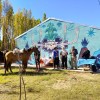 Imagen de Empanadas, cabalgatas y folclore: celebran el Día de la Bandera en una emblemática feria de Plottier