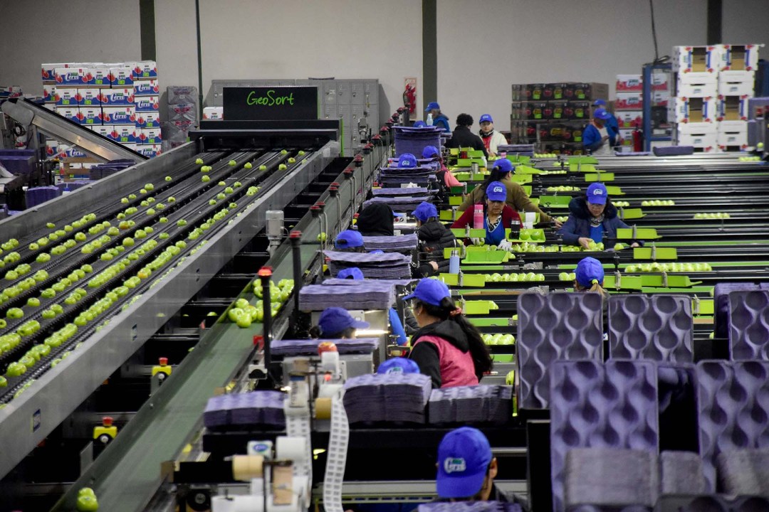 Los materiales de empaque tienen una incidencia importante en la estructura de costos de las empresas.