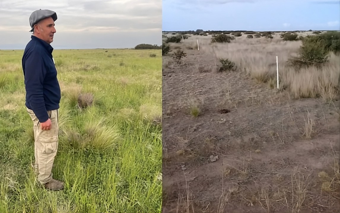 Luego de montar una red de bebederos en el establecimiento, a partir de 2021 Esteban Castro comenzó a implementar un Pastoreo Racional Voisin (PRV) sobre campo natural.