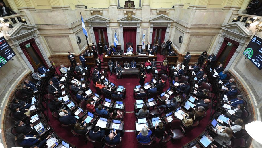 Foto: Gentileza Senado de la Nación. 