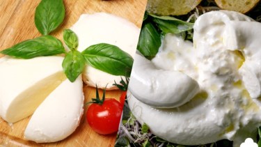 Burrata y mozzarella: cuál es la diferencia y por qué nunca deberías cocinarlas igual