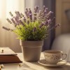Imagen de La lavanda se convirtió en un símbolo del bienestar: por qué todos la quieren en casa