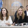 Imagen de Fuertes cruces en Diputados por la ley de emergencia en violencia de género: libertarios abandonaron la reunión