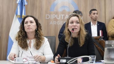 Fuertes cruces en Diputados por la ley de emergencia en violencia de género: libertarios abandonaron la reunión