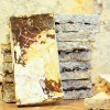 Imagen de Construcción sustentable: argentinos crean aislantes acústicos con residuos vitivinícolas