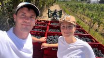 Imagen de Recuperaron un antiguo cultivo en una chacra abandonada de la Patagonia y hoy transforman su cosecha en vinos de alta gama