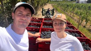 Recuperaron un antiguo cultivo en una chacra abandonada de la Patagonia y hoy transforman su cosecha en vinos de alta gama