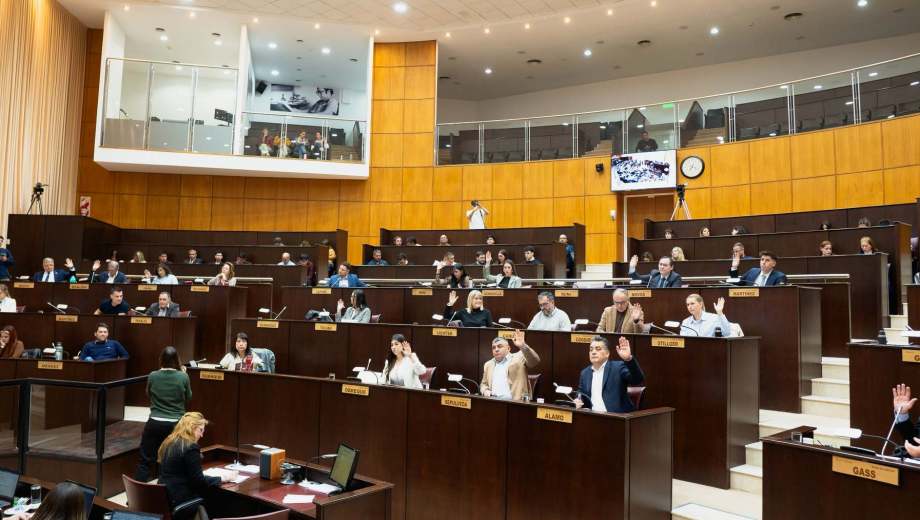 A las 3 de la madrugada del jueves 25 de junio se aprobó la ley del GNL (legisalaturaneuquén)
