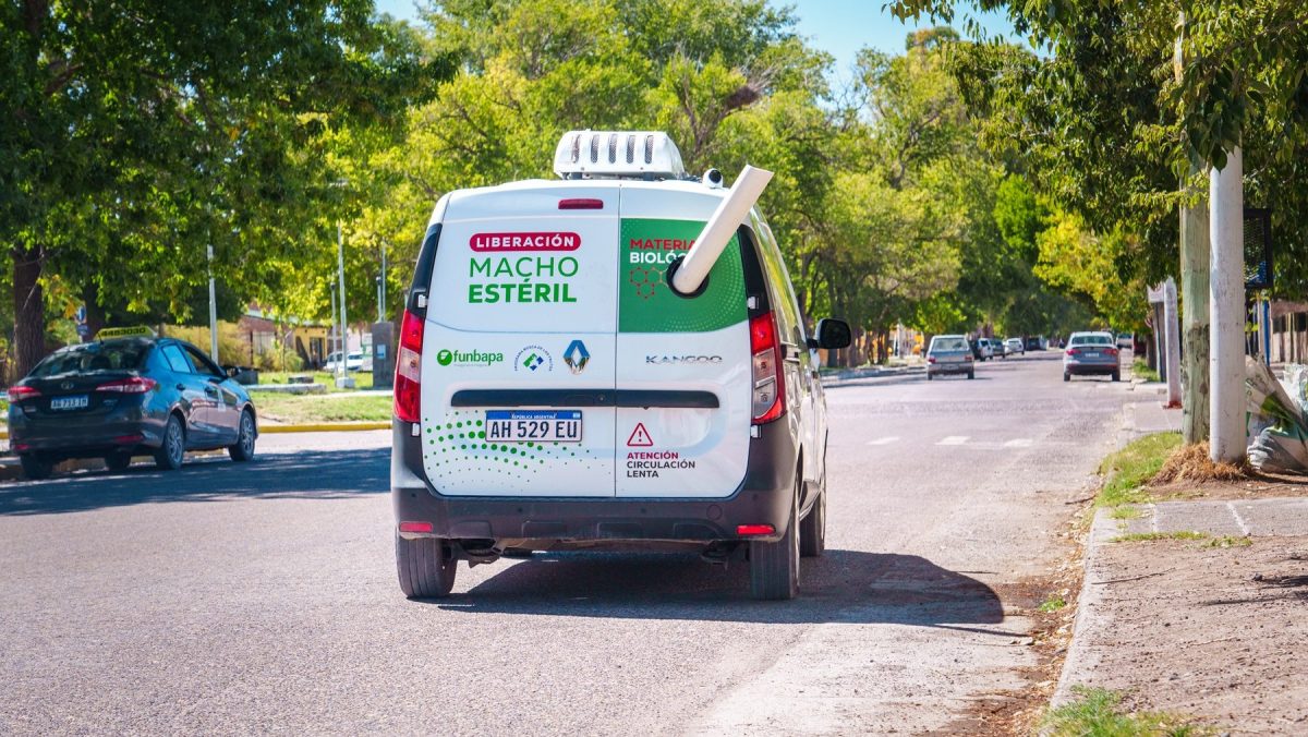 Mosca de la fruta: el sistema innovador que mantiene a la Patagonia libre de plagas