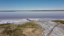 Imagen de Mendoza busca sumarse al triangulo del litio: definen la aprobación del proyecto Don Luis y Otro en Diputados 