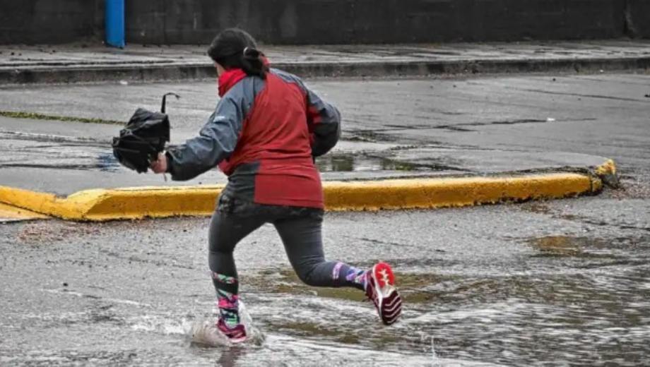 Foto: Andrès Maripe. 