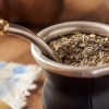Imagen de Argentina organiza el primer Mundial de la Yerba Mate