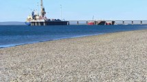 Imagen de Un puente que aproveche la energía de las olas del mar: impulsan un proyecto de ley que busca unir San Antonio con el puerto