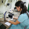 Imagen de Del derecho a la identidad a los trasplantes: el trabajo imprescindible del Laboratorio Central de Neuquén