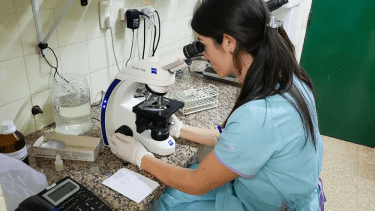 Del derecho a la identidad a los trasplantes: el trabajo imprescindible del Laboratorio Central de Neuquén