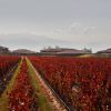 Imagen de Mendoza: vinos, montañas y colores, una escapada para ir desde la Patagonia