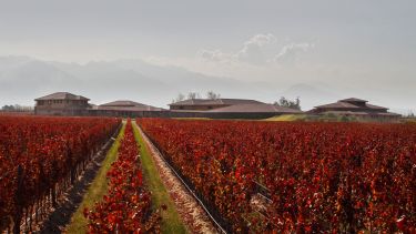Mendoza: vinos, montañas y colores, una escapada para ir desde la Patagonia