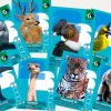 Imagen de Llegaron las figus del mundial animal. ¡Vamos por la cuerta y por la primera!