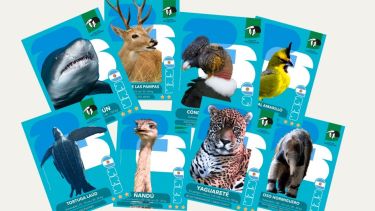 Llegaron las figus del mundial animal. ¡Vamos por la cuerta y por la primera!