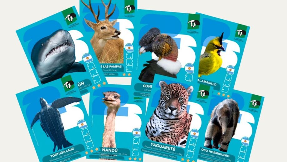 Especies autóctonas en riesgo. (FOTO: Gentileza)