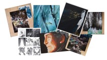 Imagen de Diseño, arte y solidaridad con los pueblos afectados por los incendios en la Patagonia en la feria MAPA 2026
