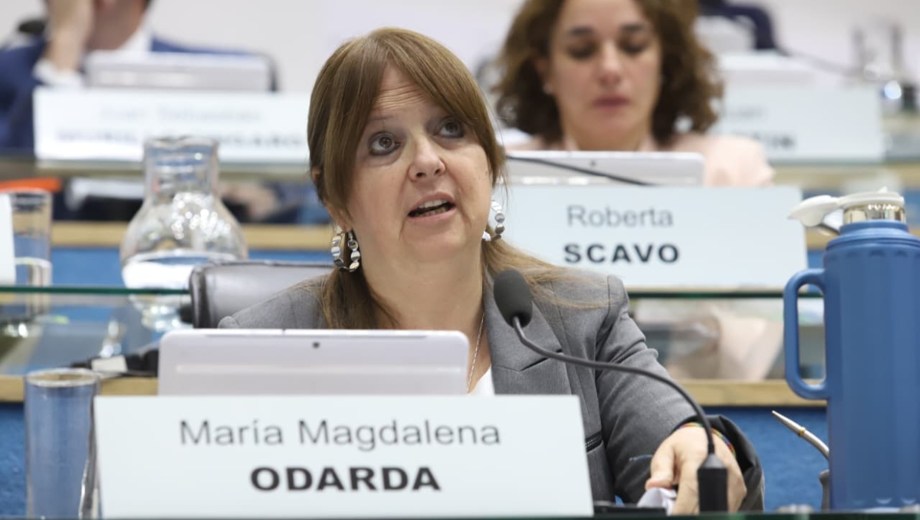 Magdalena Odarda fue la impulsora de la iniciativa. Foto: Marcelo Ochoa.
