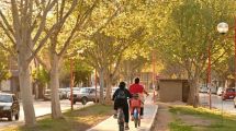 Imagen de Del fresno al acer negundo: qué árboles plantarán en Cipolletti y cómo pedir tu ejemplar
