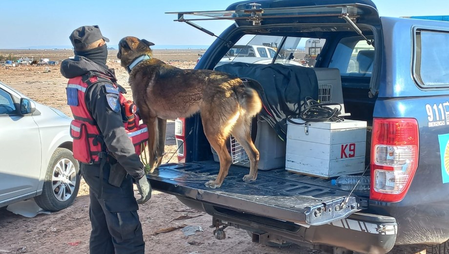 Búsqueda de Manlio Martínez en Neuquén: un perro de la Policía Federal se sumó a los rastrillajes en el CAN
