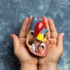 Imagen de Cáncer de páncreas: una nueva terapia dirigida muestra potencial para duplicar la supervivencia