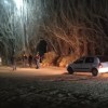 Imagen de Hallaron restos óseos humanos en Plaza Huincul e investigan un presunto homicidio