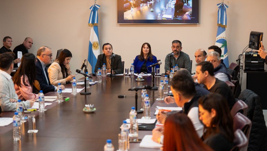 Tres comisiones dieron el aval para que el proyecto de GNL se trate en el recinto legislativo (Gentileza)