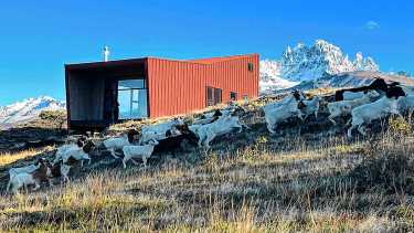 «El refugio de la oveja» desafía la nieve y el viento en un lejano paraíso de la Patagonia