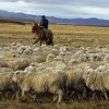 Imagen de Repoblar la Patagonia: un proyecto busca reinstalar 150 familias rurales y generar oportunidades en el campo