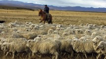 Imagen de Repoblar la Patagonia: un proyecto busca reinstalar 150 familias rurales y generar oportunidades en el campo