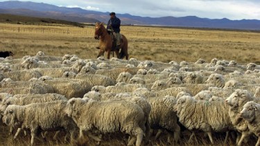 Repoblar la Patagonia: un proyecto busca reinstalar 150 familias rurales y generar oportunidades en el campo