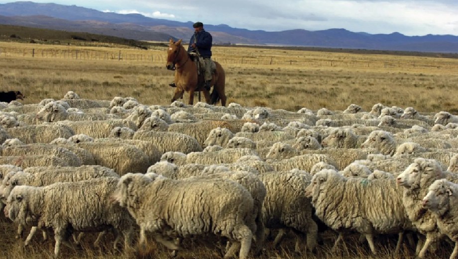 La Fundación Patagonia Rural Sustentable (FPRS) presentó un ambicioso plan que busca reinstalar al menos 150 familias rurales.