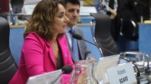 Imagen de Legisladoras de Río Negro piden endurecer penas por crueldad y maltrato animal