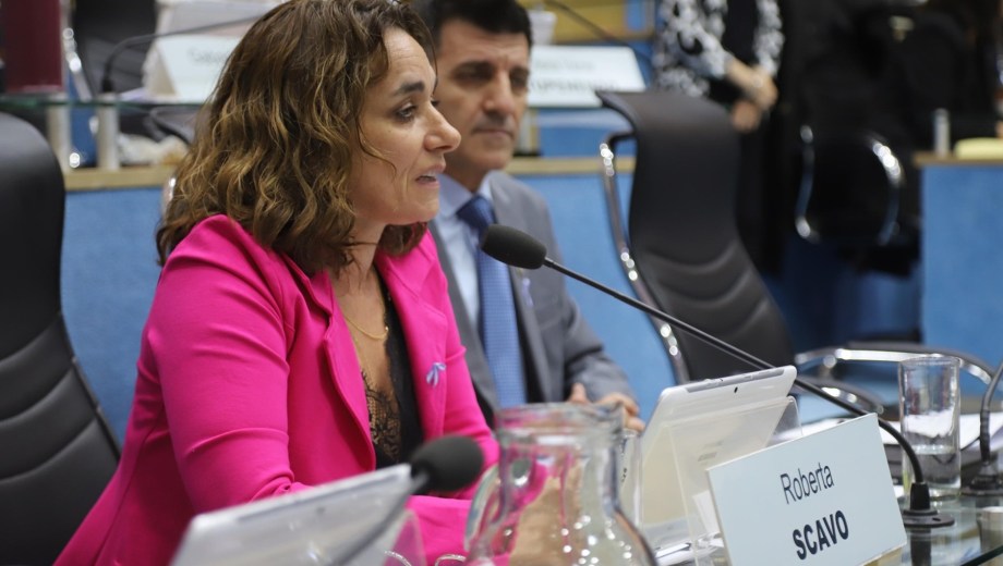 Roberta Scavo es una de las autoras del proyecto. Foto: Marcelo Ochoa.
