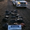 Imagen de Operativo en la Ruta 23: secuestran más de 100 kilos de carne transportada sin habilitación