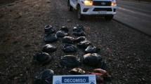 Imagen de Operativo en la Ruta 23: secuestran más de 100 kilos de carne transportada sin habilitación