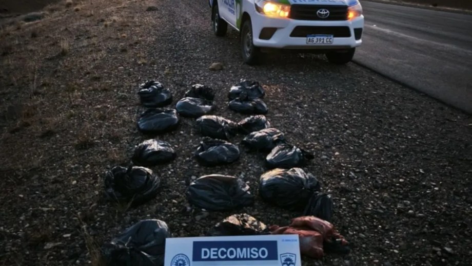 Secuestraron más de 100 kilos de carne transportada de manera ilegal en la Ruta 23.
