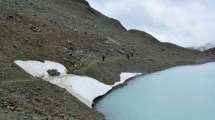 Imagen de Tragedia en la Patagonia: un guía de montaña y una turista de Uruguay murieron en una excursión a un glaciar de Tierra del Fuego