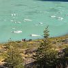 Imagen de Turistas brasileños fueron infraccionados por acceder a una zona restringida del parque Nahuel Huapi