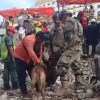 Imagen de Terremotos en Venezuela: el rol clave de Bart, el perro argentino que participa en el rescate de sobrevivientes entre los escombros
