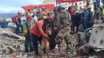 Imagen de Terremotos en Venezuela: el rol clave de Bart, el perro argentino que participa en el rescate de sobrevivientes entre los escombros